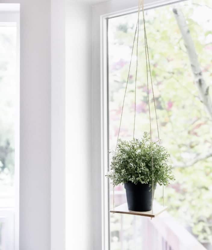 Single Window Plant Shelf