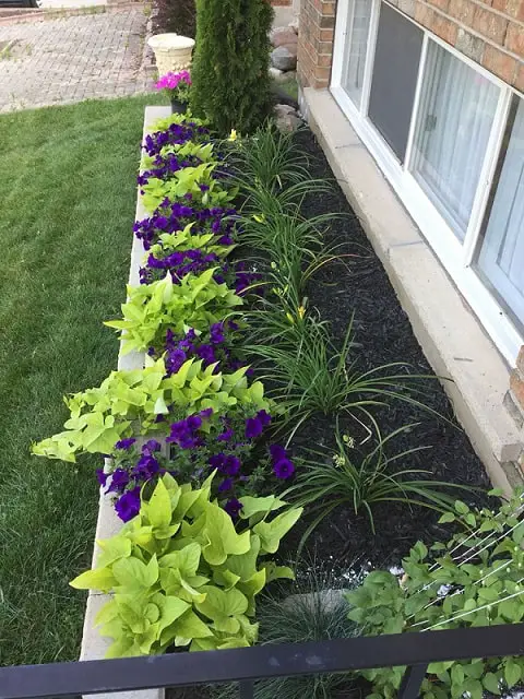 Small Flower Bed Ideas