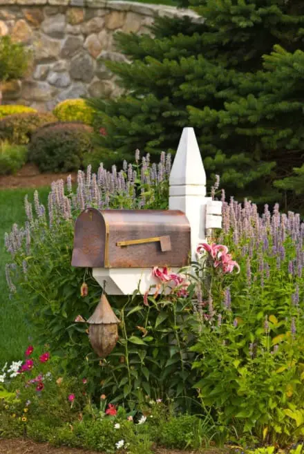 Small Lush Mailbox Landscaping Ideas