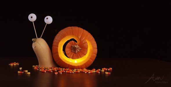 Snail 3D Jack-o'-Lanterns Carving Pumpkin