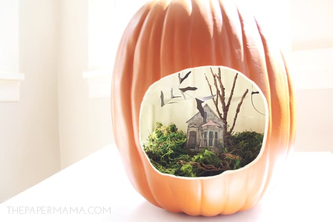 Terrarium, Carving Pumpkin Ideas