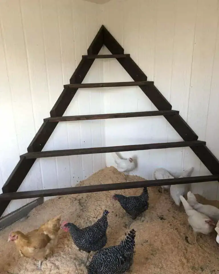 Triangle Chicken Roost Ideas
