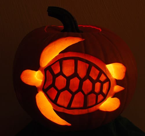 Turtle Carving Pumpkin