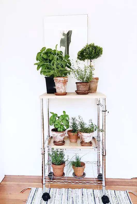 Upcycled Cart Plant Stand