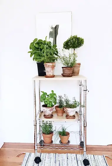 50 Awe-Inspiring Diy Plant Stand Ideas For The Fresher Room