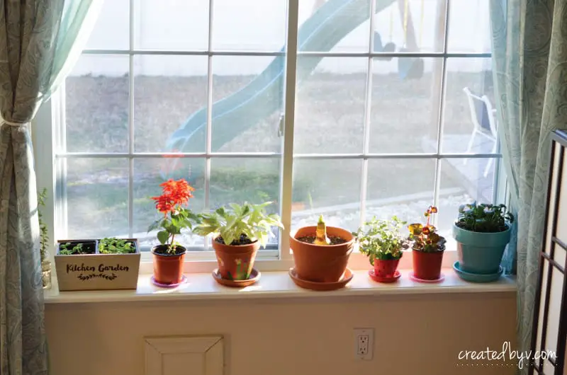 Window Sill Plant Shelf