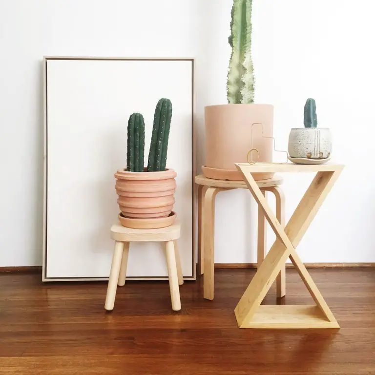 X-Shaped Plant Stand